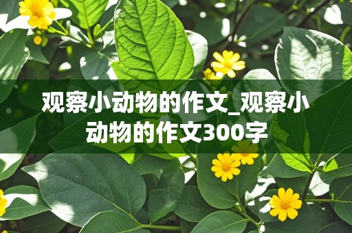 观察小动物的作文_观察小动物的作文300字