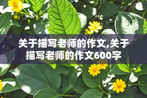 关于描写老师的作文,关于描写老师的作文600字