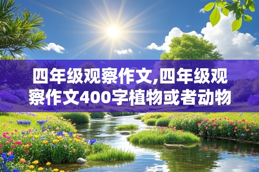 四年级观察作文,四年级观察作文400字植物或者动物