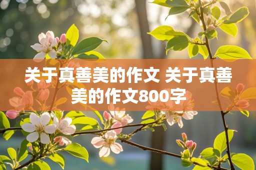 关于真善美的作文 关于真善美的作文800字