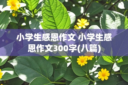 小学生感恩作文 小学生感恩作文300字(八篇)