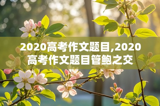 2020高考作文题目,2020高考作文题目管鲍之交