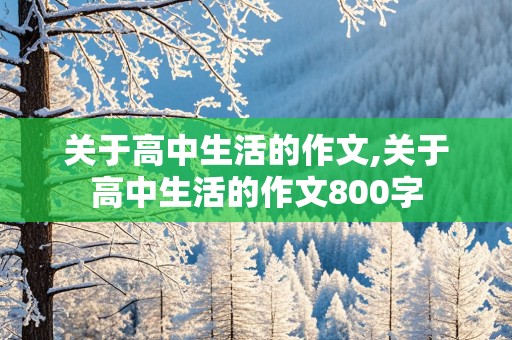 关于高中生活的作文,关于高中生活的作文800字