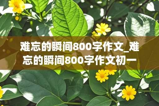 难忘的瞬间800字作文_难忘的瞬间800字作文初一