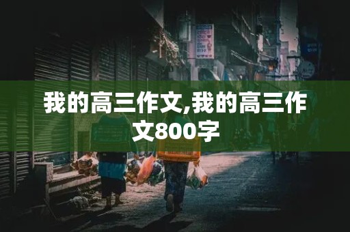 我的高三作文,我的高三作文800字