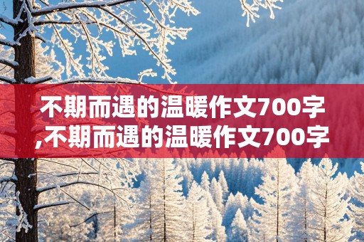 不期而遇的温暖作文700字,不期而遇的温暖作文700字初中