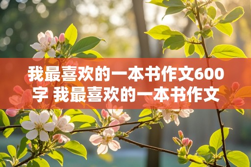 我最喜欢的一本书作文600字 我最喜欢的一本书作文600字西游记