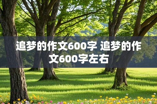 追梦的作文600字 追梦的作文600字左右