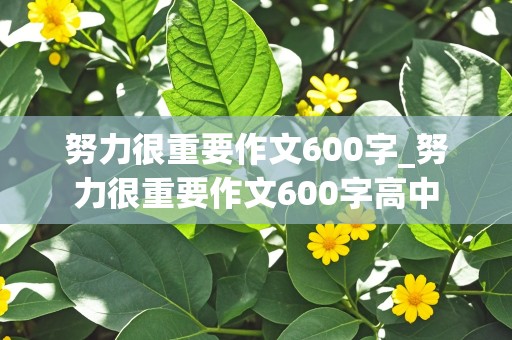 努力很重要作文600字_努力很重要作文600字高中