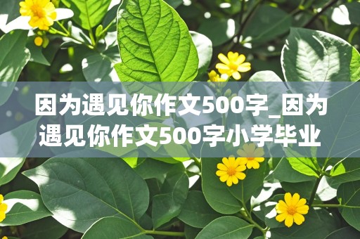 因为遇见你作文500字_因为遇见你作文500字小学毕业