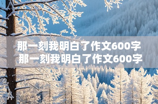 那一刻我明白了作文600字 那一刻我明白了作文600字初一