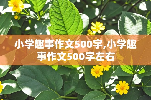 小学趣事作文500字,小学趣事作文500字左右