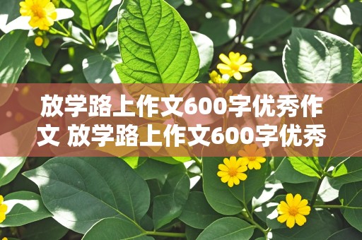 放学路上作文600字优秀作文 放学路上作文600字优秀作文记叙文