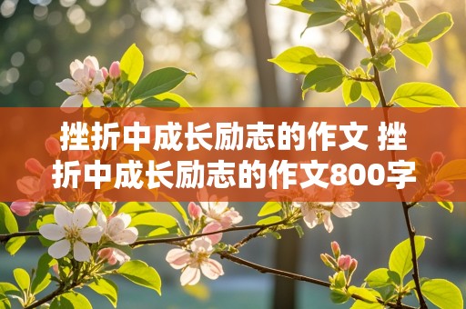 挫折中成长励志的作文 挫折中成长励志的作文800字