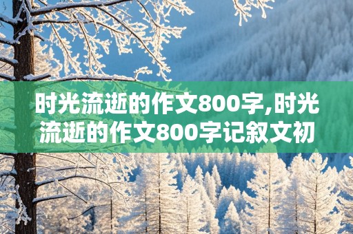 时光流逝的作文800字,时光流逝的作文800字记叙文初中生