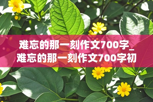 难忘的那一刻作文700字_难忘的那一刻作文700字初中