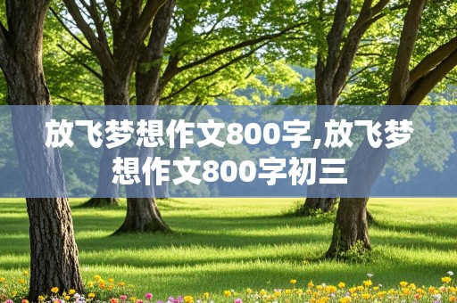 放飞梦想作文800字,放飞梦想作文800字初三