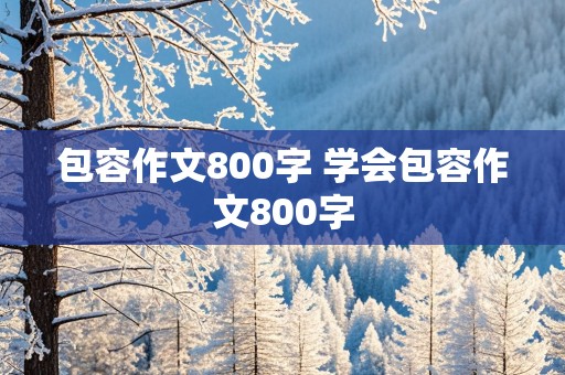 包容作文800字 学会包容作文800字