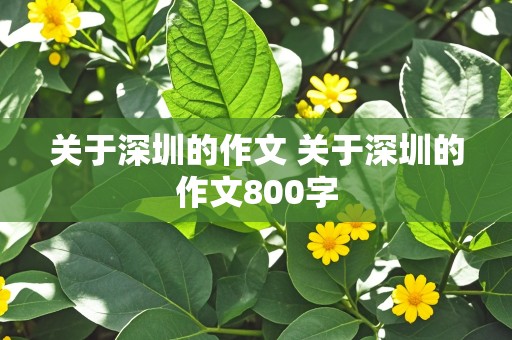 关于深圳的作文 关于深圳的作文800字