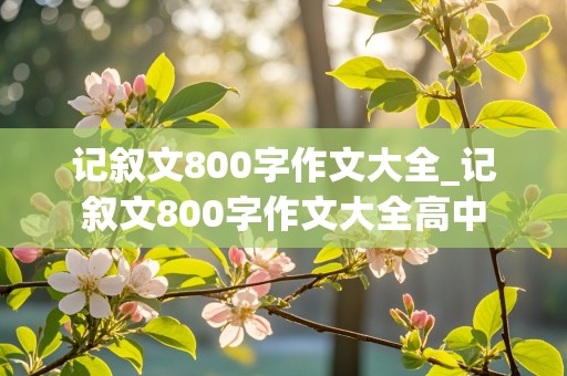 记叙文800字作文大全_记叙文800字作文大全高中