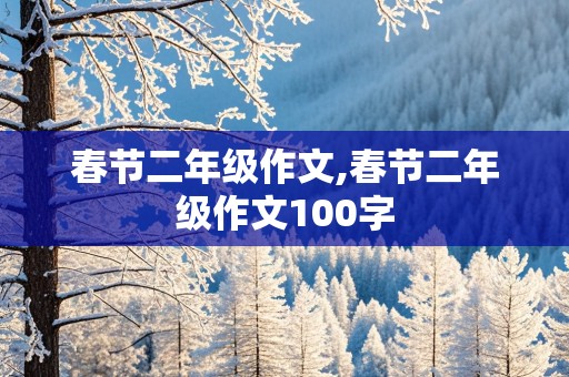 春节二年级作文,春节二年级作文100字