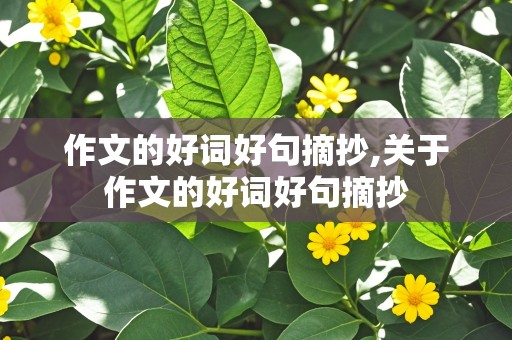 作文的好词好句摘抄,关于作文的好词好句摘抄