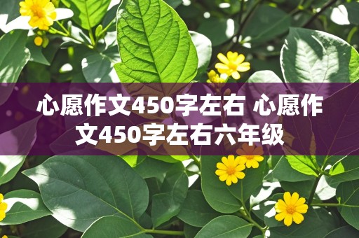 心愿作文450字左右 心愿作文450字左右六年级