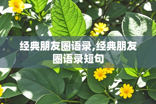 经典朋友圈语录,经典朋友圈语录短句