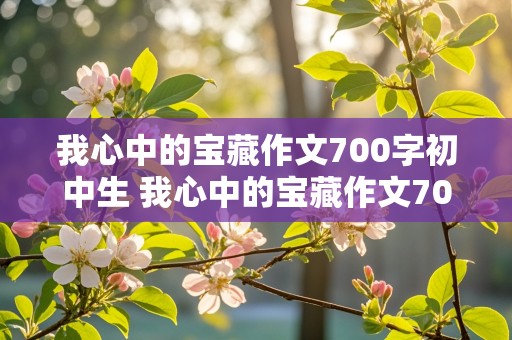 我心中的宝藏作文700字初中生 我心中的宝藏作文700字初中生怎么写