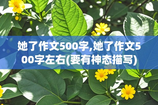 她了作文500字,她了作文500字左右(要有神态描写)