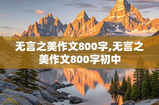 无言之美作文800字,无言之美作文800字初中