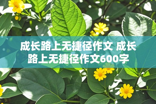 成长路上无捷径作文 成长路上无捷径作文600字