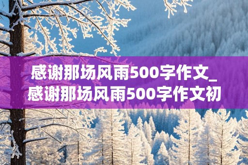 感谢那场风雨500字作文_感谢那场风雨500字作文初一