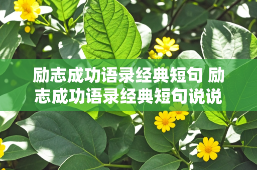 励志成功语录经典短句 励志成功语录经典短句说说